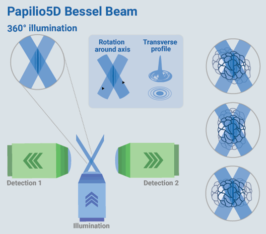 Papilio5D revolutionizes deep tissue imaging in live samples
