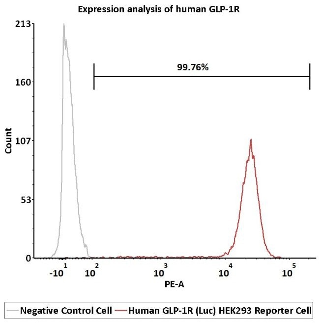 Expression analysis of human GLP-1R on Human GLP-1R (Luc) HEK293 Reporter Cell by FACS.</i><i> Cell surface staining was performed on Human GLP-1R (Luc) HEK293 Reporter Cell or negative control cell using PE-labeled anti-human GLP-1R antibody
