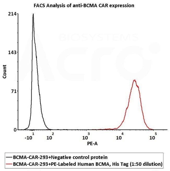 1e6 of the Anti-BCMA CAR-293 cells were stained with 100 μL of 1:50 dilution (2 μL stock solution in 100 μL FACS buffer) of PE-Labeled Human BCMA Protein, His Tag (Cat. No. BCA-HP2H2) and negative control protein respectively, PE signal was used to evaluate the binding activity (QC tested)