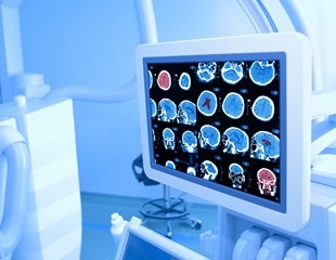 Mapping regeneration in 3D: Advancements in neural and muscle analysis