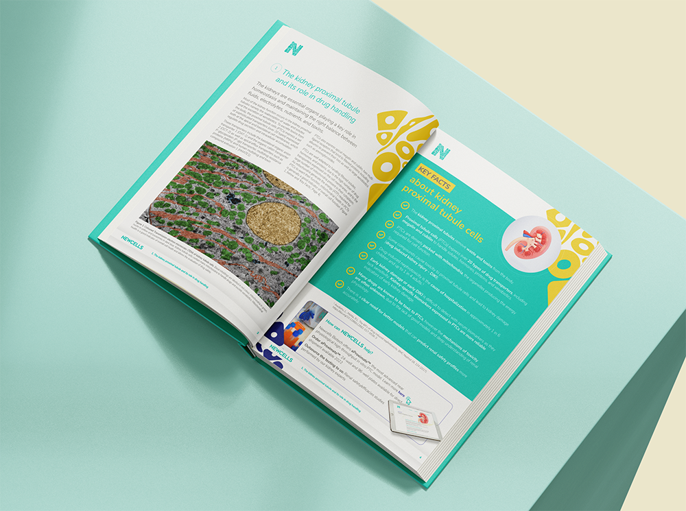 eBook on renal proximal tubule cells