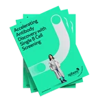 Using single B cell screening to boost antibody discovery