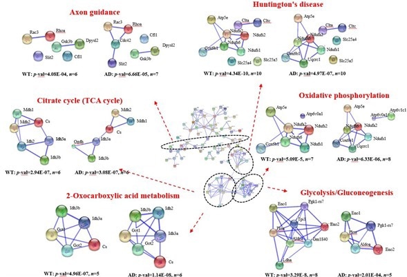Web interaction analysis