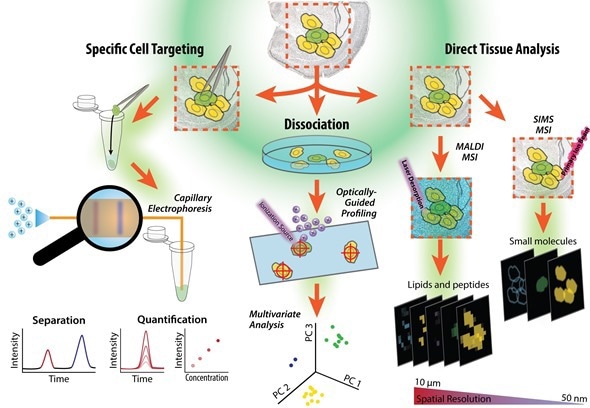 workflow of tissue sample