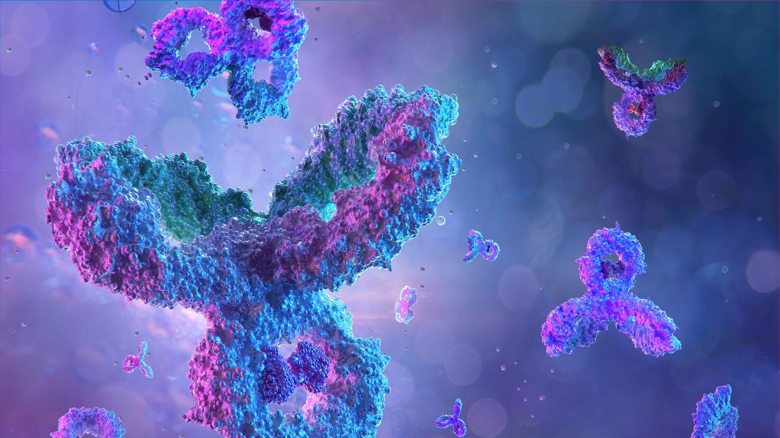 Specific antigens against coronavirus sars-cov-2. Image Credit: Corona Borealis Studio