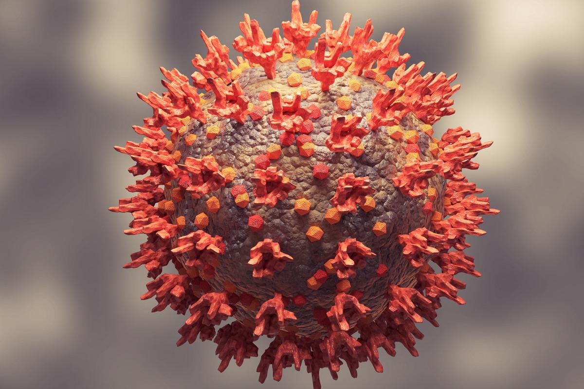 Study: Tajima D test accurately forecasts Omicron / COVID-19 outbreak. Image Credit: Adao/Shutterstock