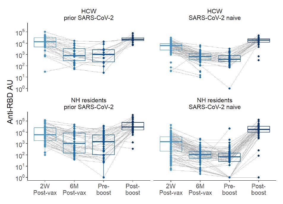 Anti-Receptor binding domain (RBD) levels over time pre- and post-boost with BNT162b2 mRNA vaccination in HCW and NH residents, with and without history of SARS-CoV-2.