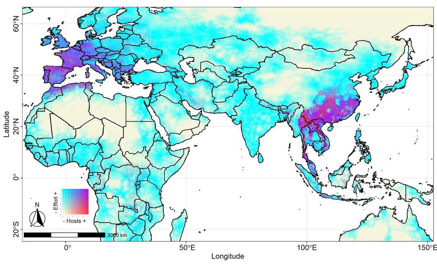 A choropleth bivariate map showing the near current distribution of reported Sarbecovirus bat host species and estimated sampling rate calculated for the filtered dataset, according to potential drivers of residual accessibility bias. Areas in red signal high numbers of Sarbecovirus hosts, but estimated lower sampling rates driven by accessibility.