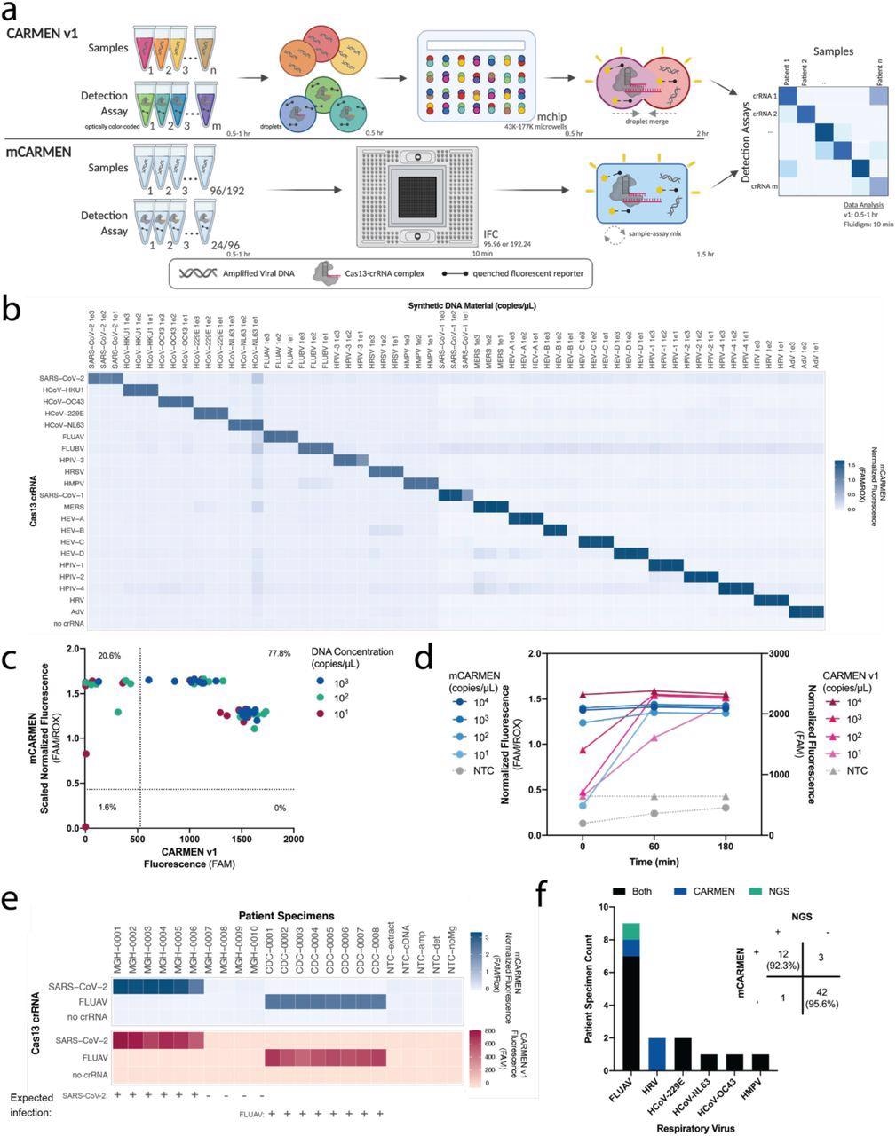 CARMEN implementation on Fluidigm achieves greater sensitivity quicker. a, Schematic of CARMEN v1 (top) and mCARMEN (bottom) workflows. b, Heatmap showing mCARMEN fluorescent data across 21 human respiratory viruses that were amplified using two separate primer pools. Synthetic DNA fragments were serially diluted from 103-101 copies/μL and added to Q5 amplification master mix. All samples were background subtracted from NTC-noMg negative control. c, Concordance between CARMEN v1 and mCARMEN from b. Blue: targets at 103 copies/μL; green: targets at 102 copies/μL; red: targets at 101 copies/μL. d, Fluorescence kinetics of amplified SARS-CoV-2 DNA gene fragments from 104-101 copies/μL at 0, 60, and 180 minutes post-reaction initiation. Blue: mCARMEN; red: CARMEN v1. e, Testing 21 human respiratory virus panel on clinical specimens from 6 SARS-CoV-2 positive, 4 SARS-CoV-2 negative NP swabs, and 8 FLUAV positive specimens, collected prior to Dec. 2019, and 5 no target controls (NTCs). Heatmap shows fluorescent signals from SARS-CoV-2 crRNA, FLUAV crRNA and no crRNA control. Blue: mCARMEN; red: CARMEN v1. f, Concordance of mCARMEN and NGS on 58 suspected respiratory virus infected patient specimens collected prior to Dec. 2019. Black: detected by both mCARMEN and NGS; blue: detected by mCARMEN only; green: detected by NGS only. mCARMEN values are shown as normalized fluorescence, FAM signal divided by passive reference dye, ROX, signal at 1 hour post-reaction initiation. CARMEN v1 values are shown as raw fluorescence, FAM signal at 3 hours. NTC, no target control; NTC-extract, no target control taken through extraction, cDNA synthesis, amplification, and detection; NTC-cDNA, no target control taken through cDNA synthesis, amplification, and detection; NTC-amp, no target control taken through amplification and detection; NTC-det, no target control taken through detection; NTC-noMg, no target control expected to have no fluorescent signal due to lack on Mg2+ needed to activate Cas13.
