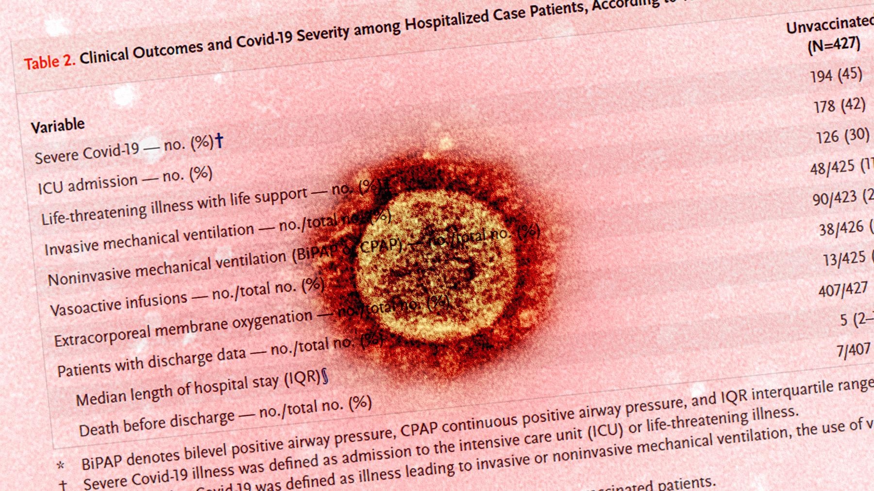 Study: Effectiveness of BNT162b2 Vaccine against Critical Covid-19 in Adolescents. Image Credit: NIAID