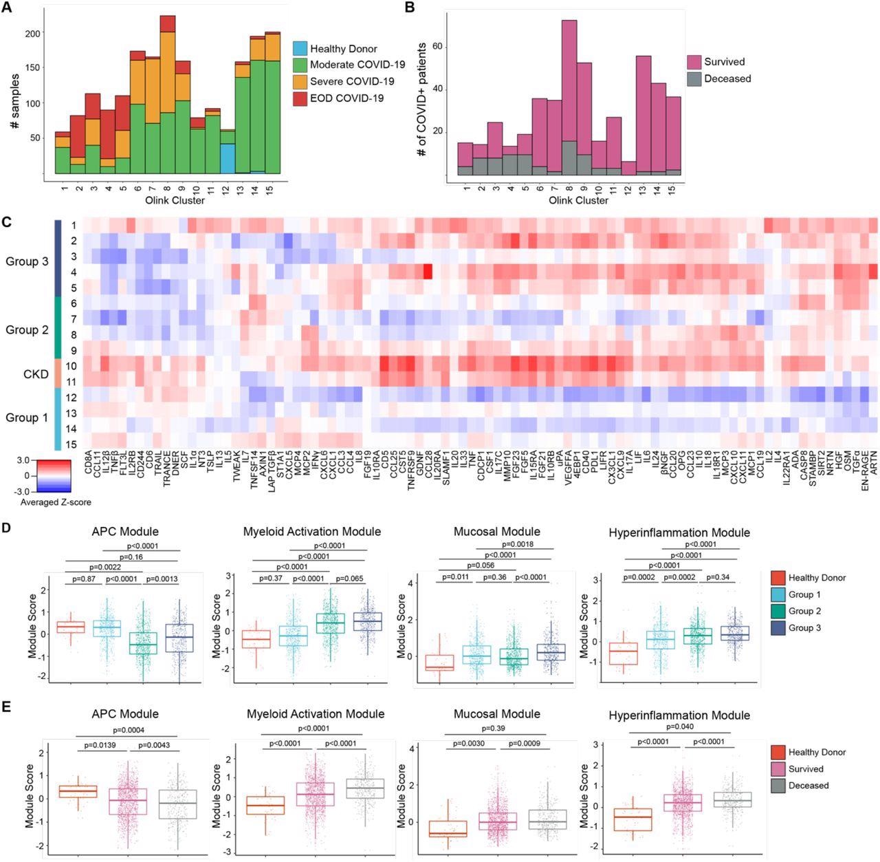 Proteomic characterization of COVID-19 serum reveals distinct immune patterns associated with disease severity and clinical outcome. (A) Histogram of patient samples across Olink clusters denoted by clinical severity classification. (B) Histogram of first available patient samples across Olink clusters denoted by patient projected clinical outcome. (C) Averaged z-scored heatmap of Olink inflammation panel analytes across Olink clusters. Olink clusters were grouped based on clinical severity, projected outcome, and comorbidity distribution. (D) Boxplots showing Olink module score comparisons of all Olink samples by Olink group. (E) Boxplots showing Olink module score comparisons of all Olink samples by final clinical outcome. For box plots, each dot represents a patient sample; center line, median; box limits, 25th and 75th percentile; whiskers, 1.5x interquartile range (IQR). Statistical significance (D-E) determined by 2-way ANOVA with Tukey’s Multiple Comparisons correction. Adjusted p-values shown.