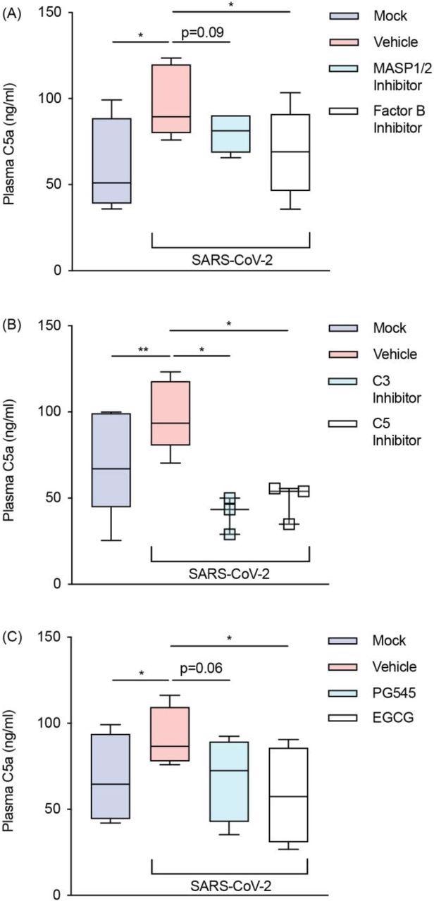 SARS-CoV-2 activates the alternative pathway through interactions with heparan sulfate. Plasma C5a levels were assessed with an ELISA in SARS-CoV-2 inoculated lepirudin-anticoagulated human blood pre-treated with various inhibitors and mimetics. These included antagonists for (A) MASP1/2 (SFMI-1 10μM) and factor B (LNP023 10μM) (n = 5); (B) C3 (Compstatin 20μM) and C5 (Eculizumab 100μg/mL) (n = 3); and (C) heparan sulfate (EGCG 100μM) as well as a mimetic for heparan sulfate (PG545 100μg/mL) (n = 4). SARS-CoV-2 was inoculated at MOI 1.0 for 24 hours. Boxes depict medians and inter-quartile ranges and have Tukey whiskers. Where this was not possible, individual values are presented instead. MOI = multiplicity of infection; * P<0.05, ** P<0.01, using a paired one-tailed t test. All blood donors were seronegative for anti-SARS-CoV-2 antibodies