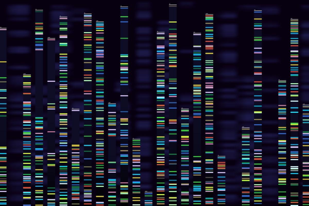 Study: Rapid genome surveillance of SARS-CoV-2 and study of risk factors using shipping container laboratories and portable DNA sequencing technology. Image Credit: Tartila/Shutterstock