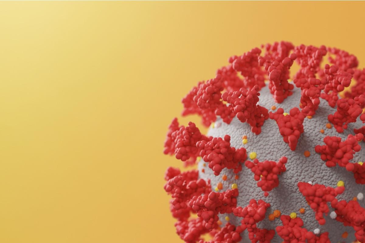 Study: A CNN model for predicting binding affinity changes between SARS-CoV-2 spike RBD variants and ACE2 homologues. Image Credit: Zerbor/Shutterstock