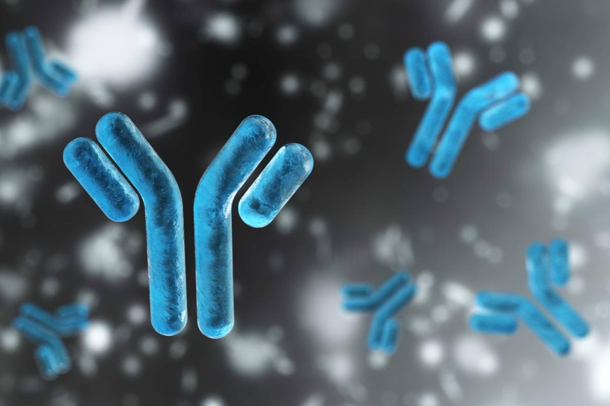 Study: Topologically engineered antibodies and Fc-fusion proteins: a new class of multifunctional therapeutic candidates for SARS-CoV-2, cancer, and other disease. Image Credit: ustas7777777/Shutterstock