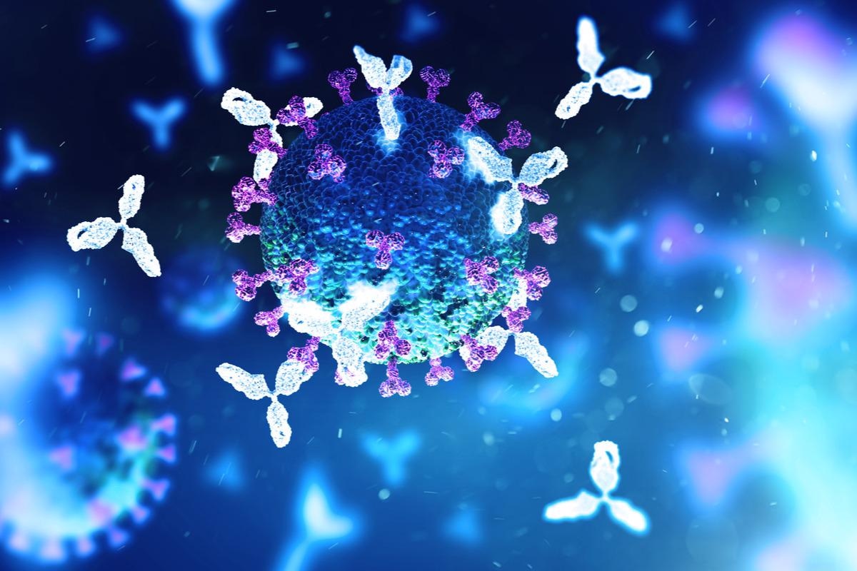 Study: Structural basis for potent antibody neutralization of SARS-CoV-2 variants including B.1.1.529. Image Credit: Andrii Vodolazhskyi/Shutterstock