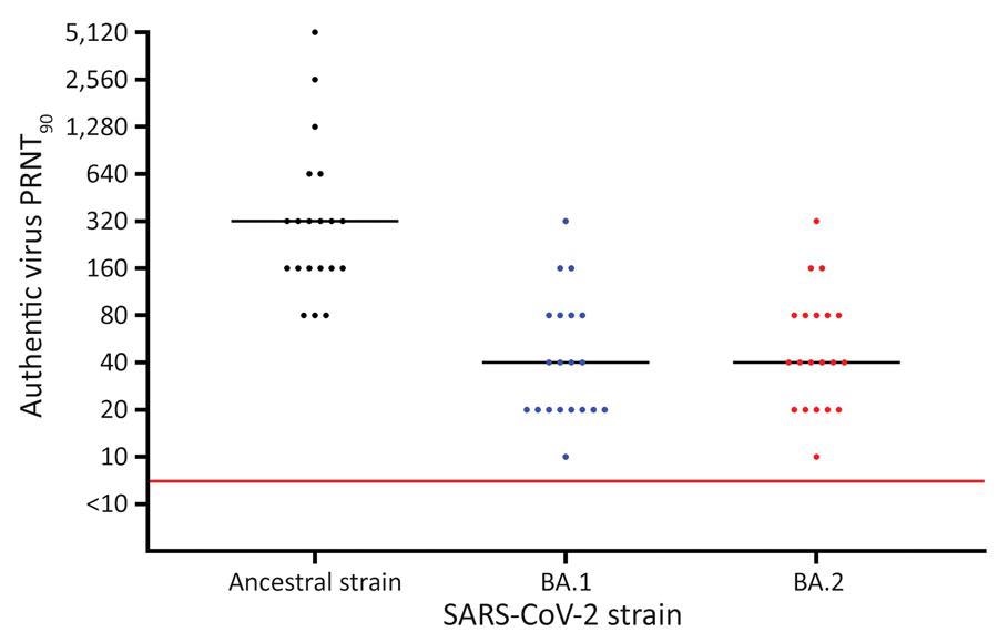 Results of PRNT90 of serum against SARS-CoV-2 ancestral strain and Omicron sublineages BA.1 and BA.2 after BNT162b2 (Pfizer-BioNTech, https://www.pfizer.com) booster vaccination, Denmark. Serum samples were collected from 20 SARS-CoV-2–naive participants who received 2 BNT162b2 doses and a booster BNT162b2 dose. Viral genome sequences are available in GenBank (accession nos. ON055855 for the ancestral strain, ON055874 for BA.1, and ON055857 for BA.2). Red line indicates neutralization threshold; black lines indicate median neutralization titers for each strain. PRNT90, 90% plaque reduction neutralization test.