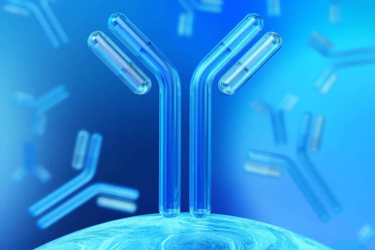 Study: Development of monoclonal antibodies to detect for SARS-CoV-2 proteins. Image Credit: ustas7777777 / Shutterstock.com