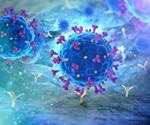 Cross-reactive coronavirus antibodies might not be cross-neutralizing
