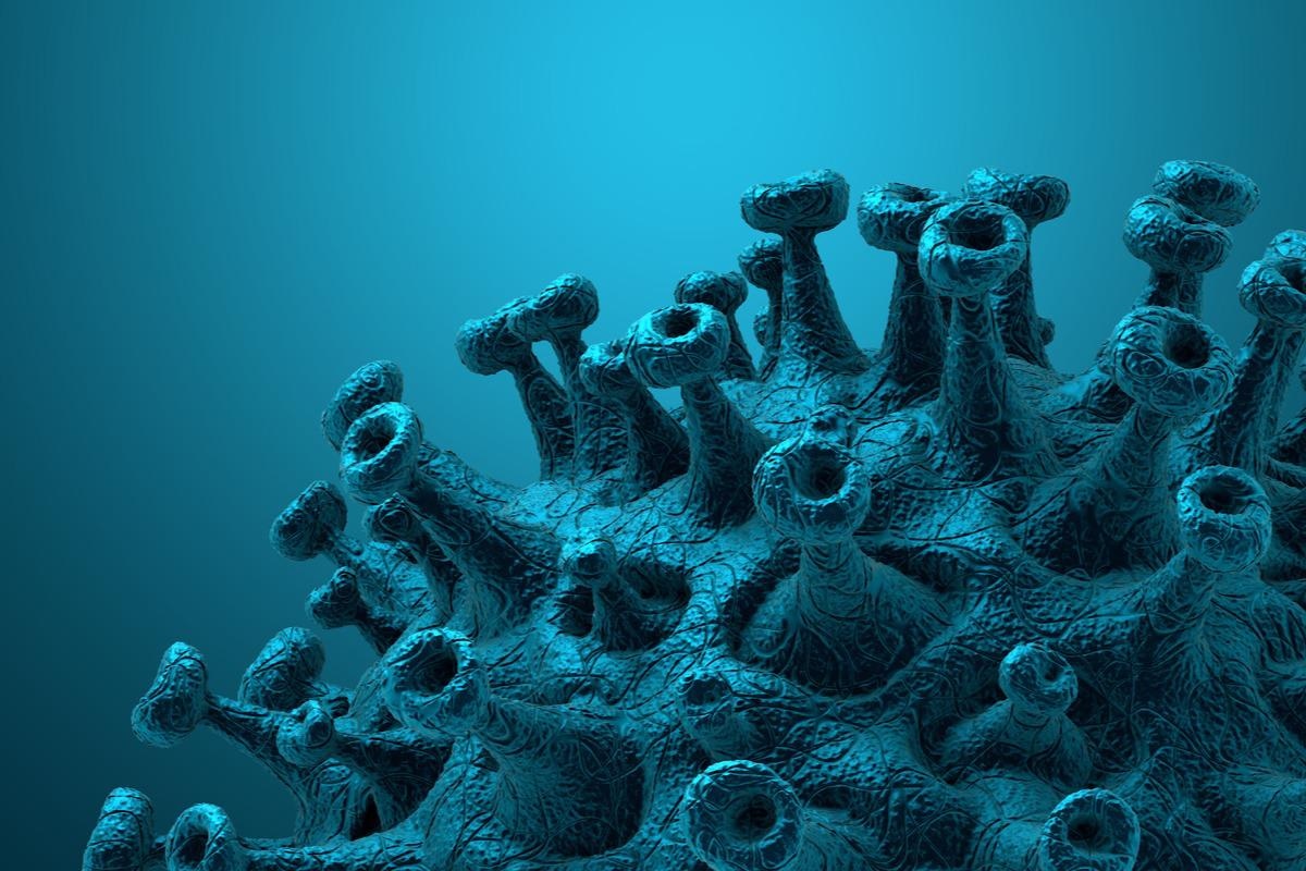 Study: Accuracy of US CDC COVID-19 Forecasting Models. Image Credit: CROCOTHERY/Shutterstock