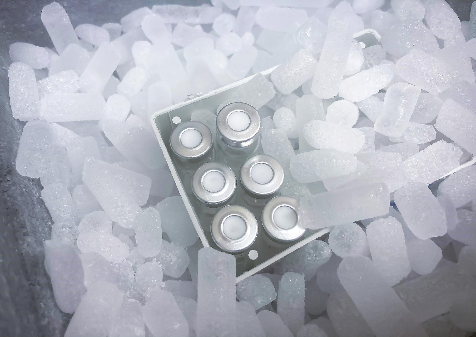 Study: COVID-19 mRNA Vaccines Preserve Immunogenicity after Re-Freezing. Image Credit: Elzbieta Krzysztof / Shutterstock