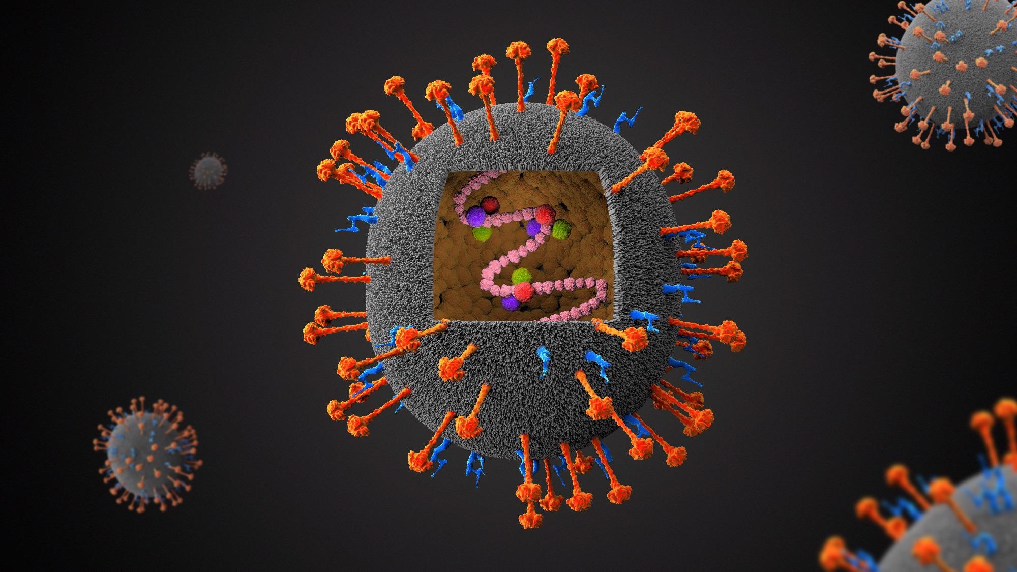 Study: Architecture and antigenicity of the Nipah virus attachment glycoprotein. Image Credit: Festa / Shutterstock