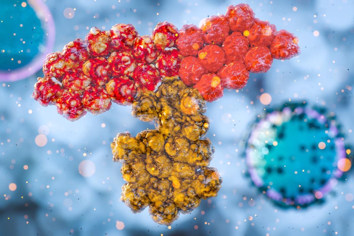 Study: Sensitivity of novel SARS-CoV-2 Omicron subvariants, BA.2.11, BA.2.12.1, BA.4 and BA.5 to therapeutic monoclonal antibodies. Image Credit: CI Photos/Shutterstock