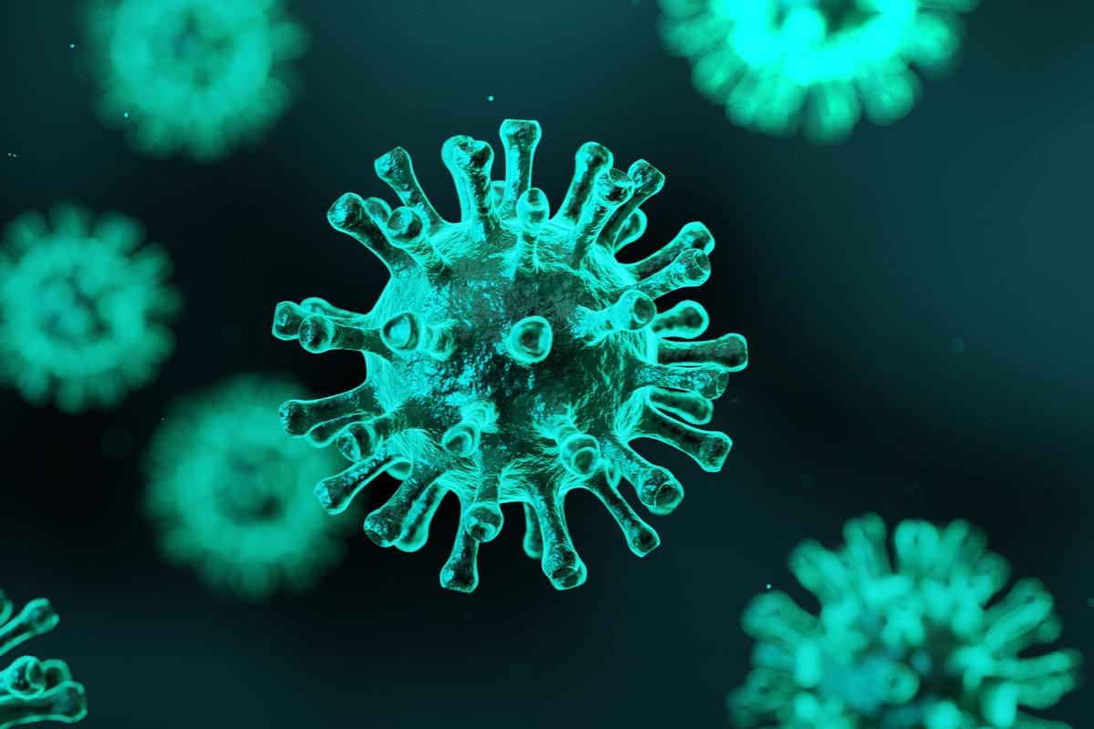 Study: Omicron breakthrough infections in vaccinated or previously infected hamsters. Image Credit: CREATIVE WONDER/Shutterstock