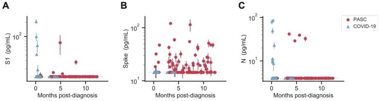 SARS-CoV-2 antigen levels versus time. The concentration of S1 (A), spike (B), and N (C) measured in the plasma of individuals over time after diagnosis with PASC or COVID-19 following SARS-CoV-2 infection. Multiple data points may correspond to the same individual, where repeat sampling was available. Data points represent mean values ± SD (n = 2). Dashed lines indicate the LOD for each assay.