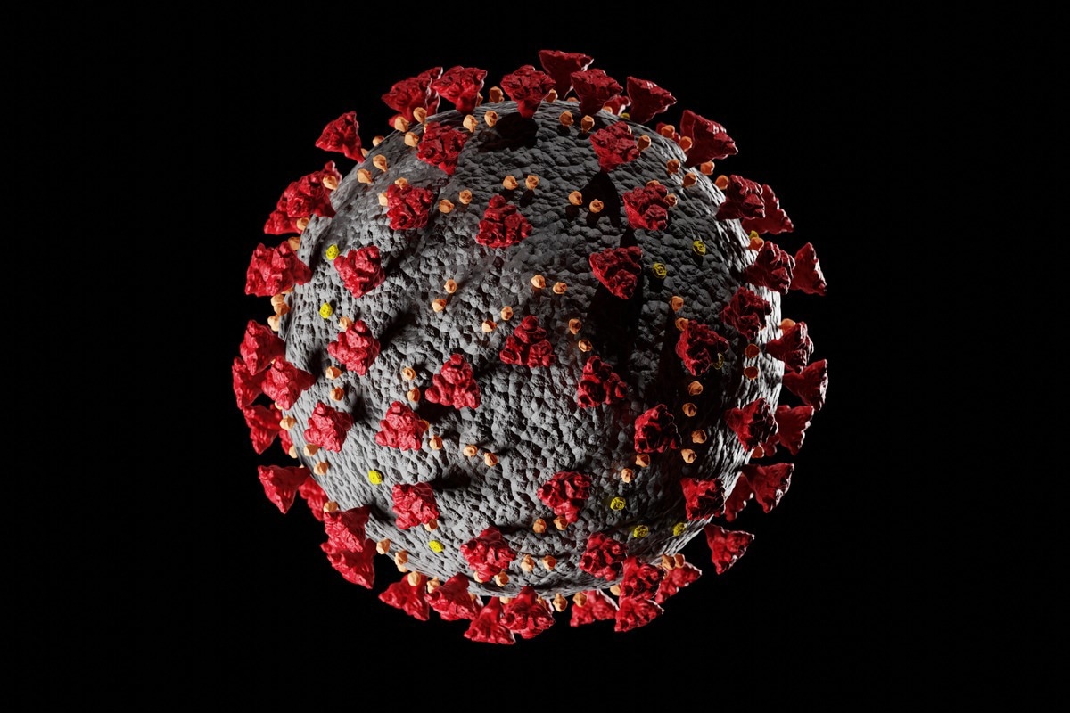 Study: In vitro study on efficacy of PHELA, an African traditional drug against SARS-CoV-2. Image Credit: Cristian Moga/Shutterstock