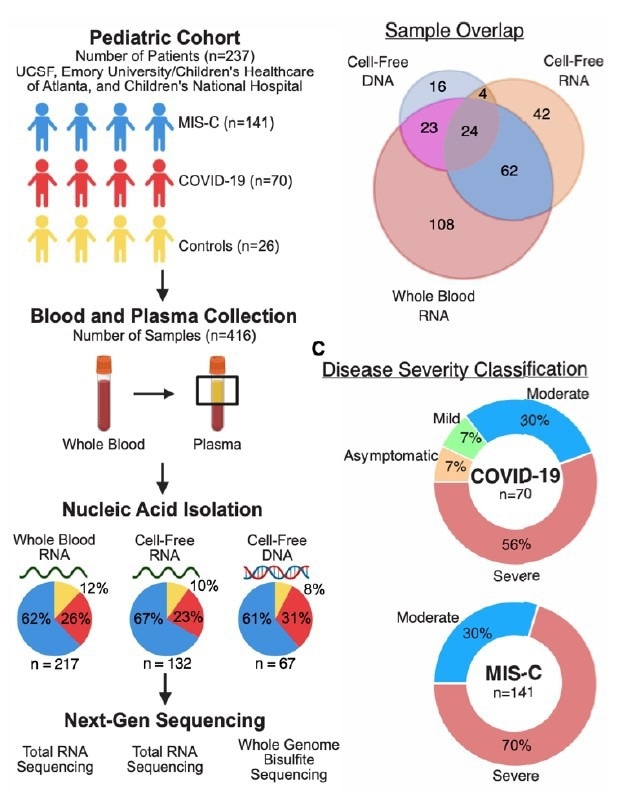 Study design and patient characteristics (A) Sample collection and processing overview. (B) Distribution of samples across analytes. (C) Distribution of disease severity for each sample group.