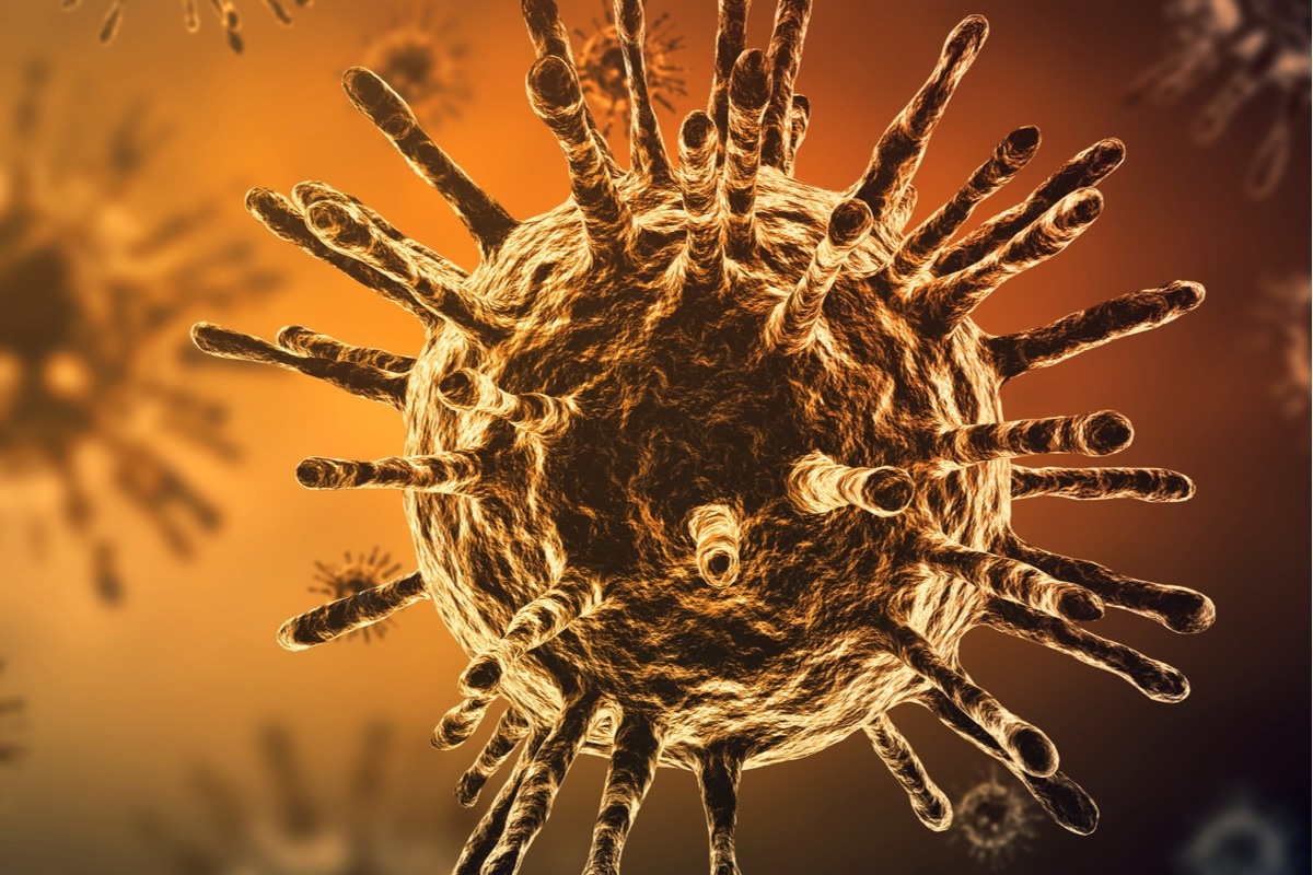 Study: Characterization of SARS-CoV-2 Omicron BA.4 and BA.5 clinical isolates. Image Credit: Eakrin Rasadonyindee/Shutterstock