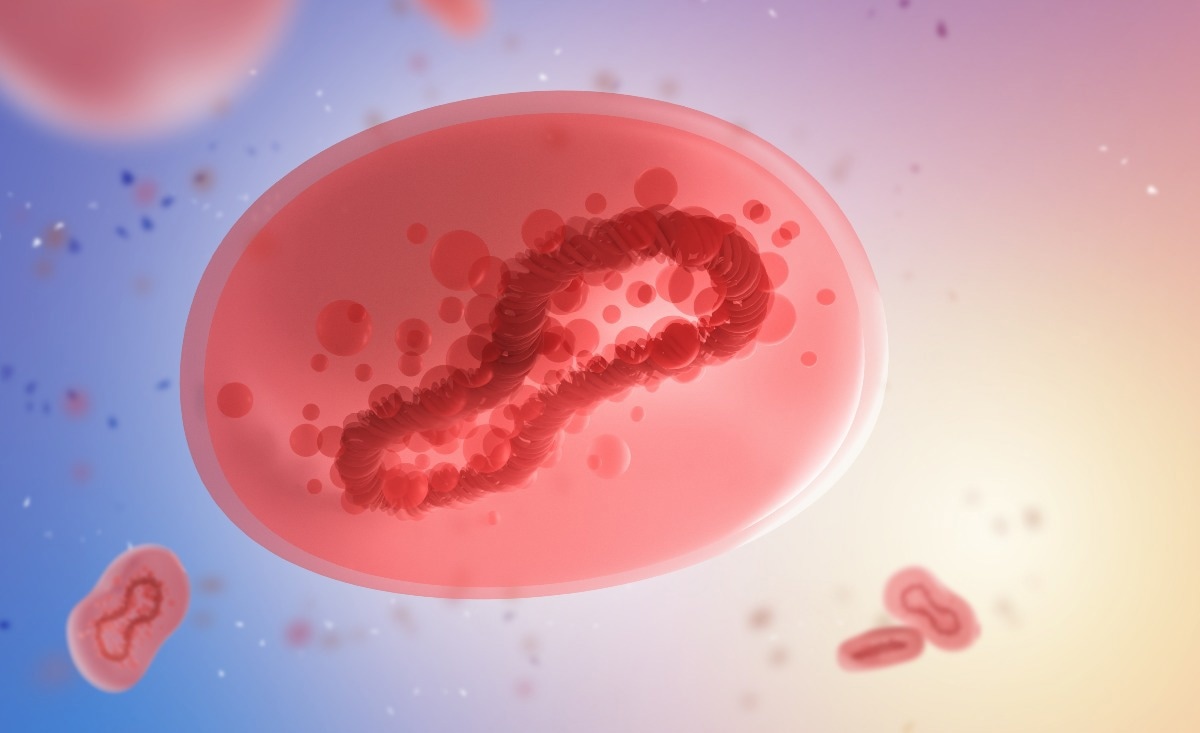 Study: The Monkeypox Pandemic as a Worldwide Emergence: Much Ado? Image Credit: FOTOGRIN/Shutterstock