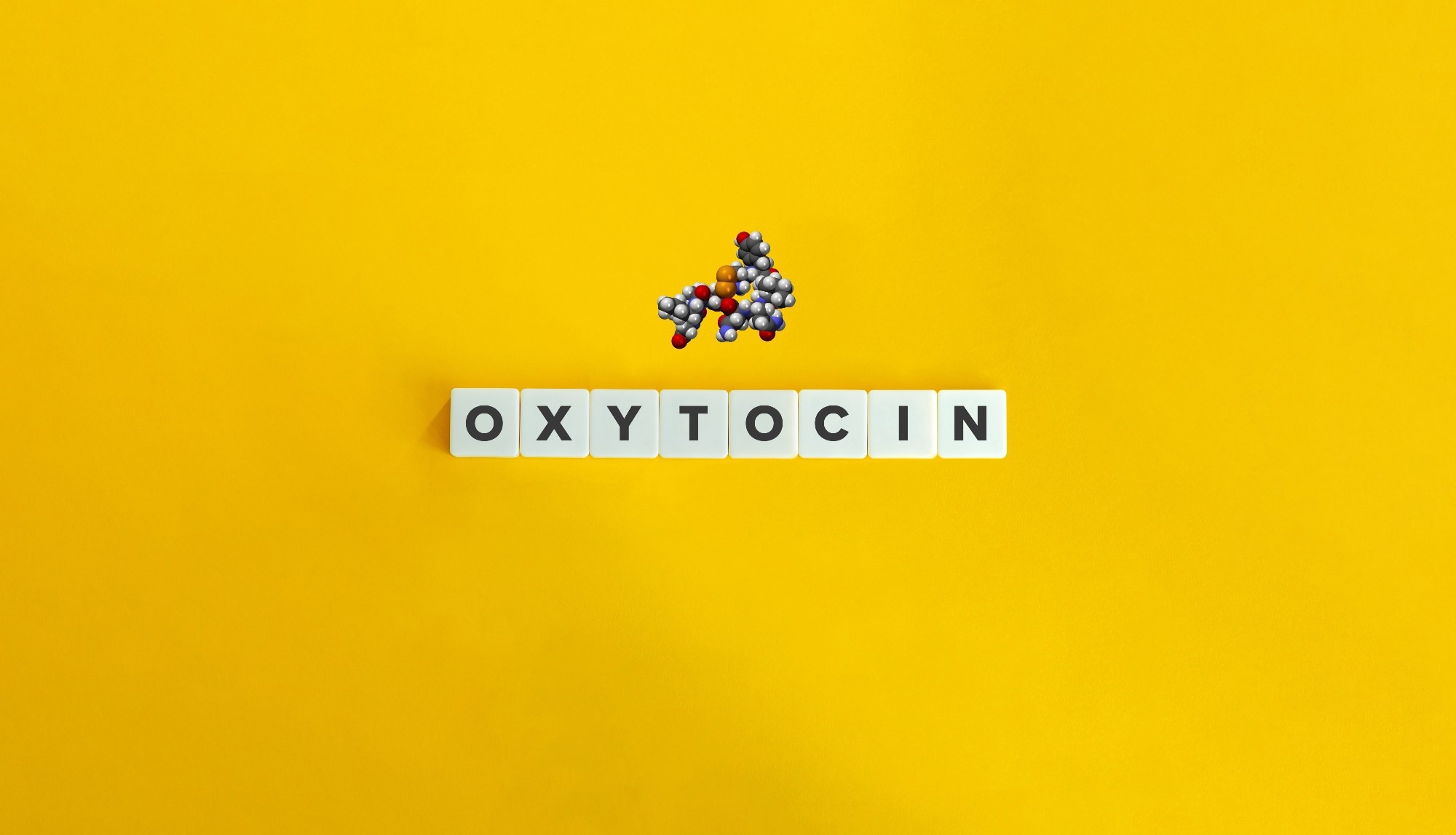 Image Credit: designium/Shutterstock