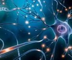 Reversing paralysis with electrical stimulation of neurons