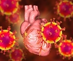 Research sheds light on cardiac pathology mechanisms of COVID-19