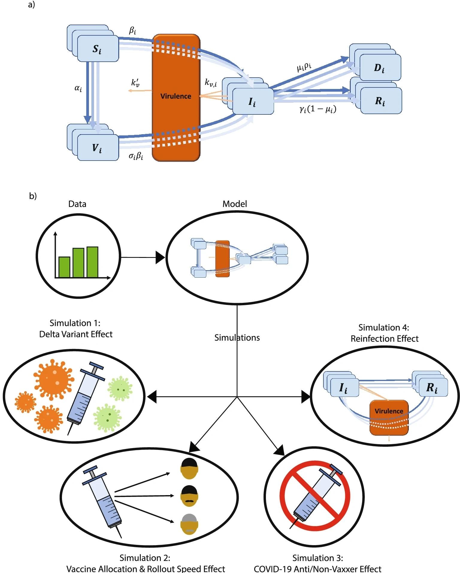 A schematic of the SIRDV-Virulence (Susceptible-Infected-Recovered-Dead-Vaccinated -Virulence) model and overall process of the study. (a) An SIRDV-Virulence model (Susceptible-Infected-Recovered-Dead-Vaccinated-Virulence) to predict the transmission of COVID-19 in the United States, in which the members of three age groups (children, adults, and seniors) move to compartments (blue) at rates influenced by the parameters adjacent to the inter-compartmental arrows (blue). Infected members of each age group contribute to the growth of a single virulence parameter (orange), which can infect both susceptible, SiSi, and vaccinated, ViVi, individuals. (b) Data is fed to the compartmental model to fit its parameters and used to run simulations to predict future scenarios: (1) the effect of the Delta variant, (2) the effect of changing the vaccination allocation and roll-out speed, (3) the effect of the proportion of COVID-19 Anti/Non-Vaxxers, and (4) the effect of reinfection.