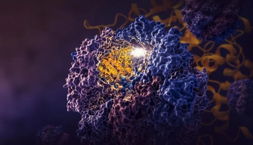 Landmark study challenges a 70-year-old theory of protein folding