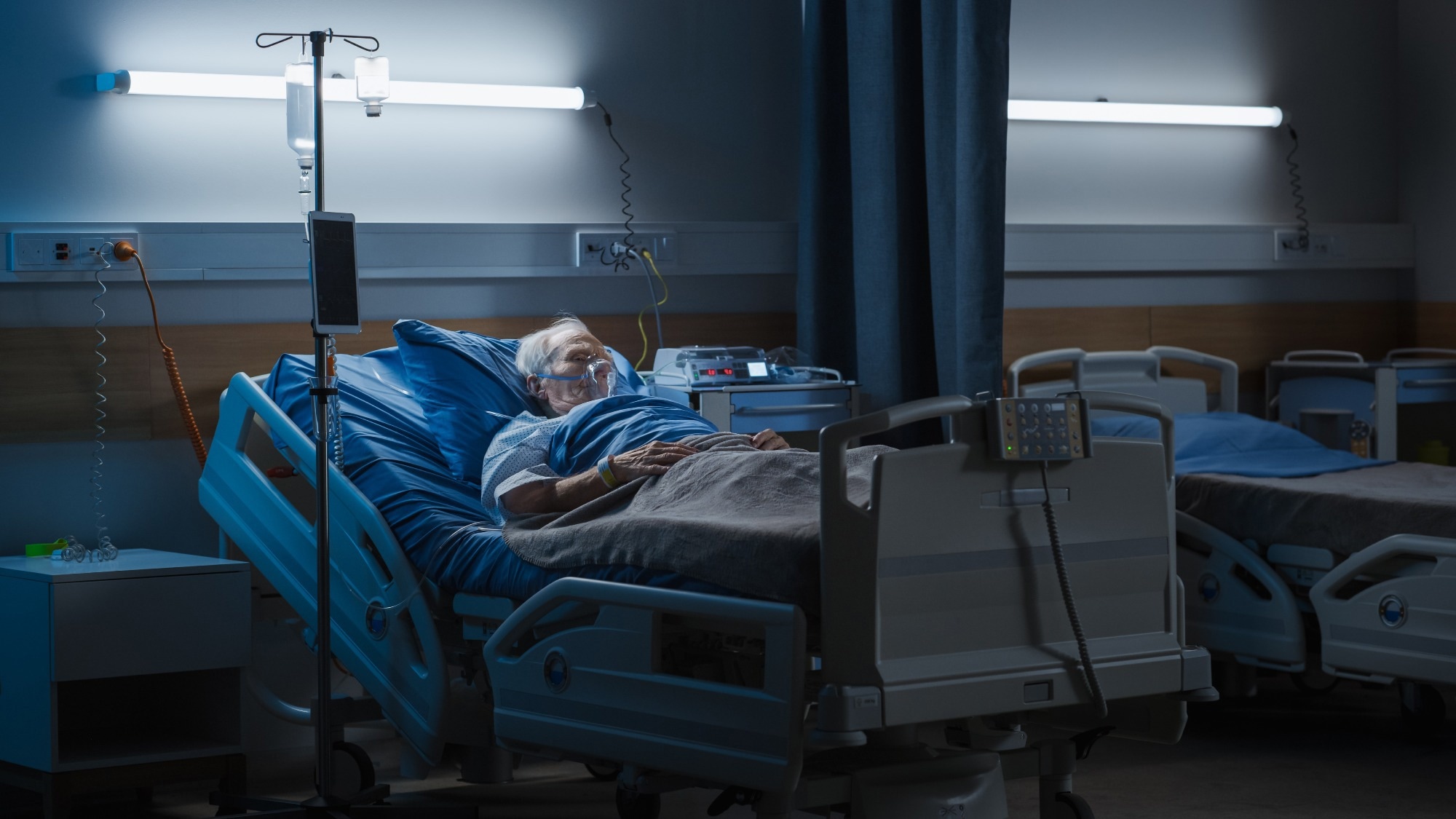 Study: Differences Between Reported COVID-19 Deaths and Estimated Excess Deaths in Counties Across the United States, March 2020 to February 2022. Image Credit: Gorodenkoff/Shutterstock