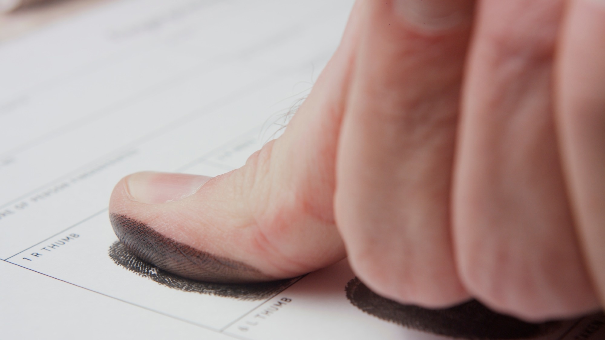 Study: The developmental basis of fingerprint pattern formation and variation. Image Credit: Giuseppe Flandoli / Shutterstock