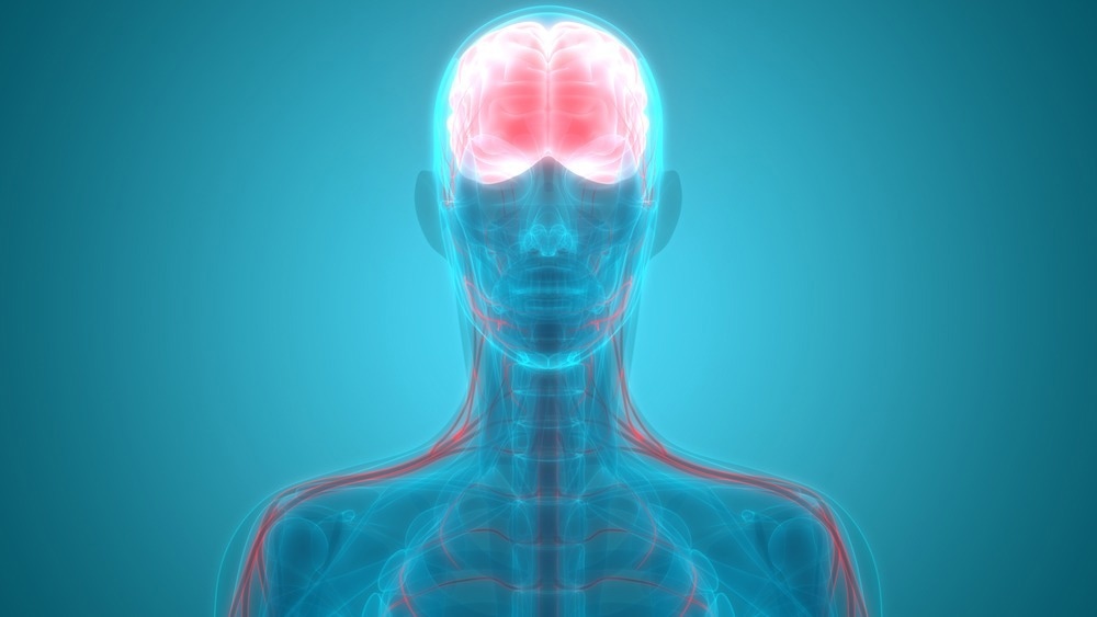 Blood brain barrier concept