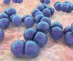 Pneumolysin toxin holds promise for developing therapies against Streptococcus pneumoniae