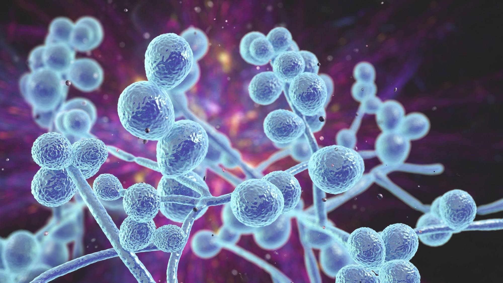 Study: Environmental reservoirs of the drug-resistant pathogenic yeast Candida auris. Image Credit: Kateryna Kon/Shutterstock.com