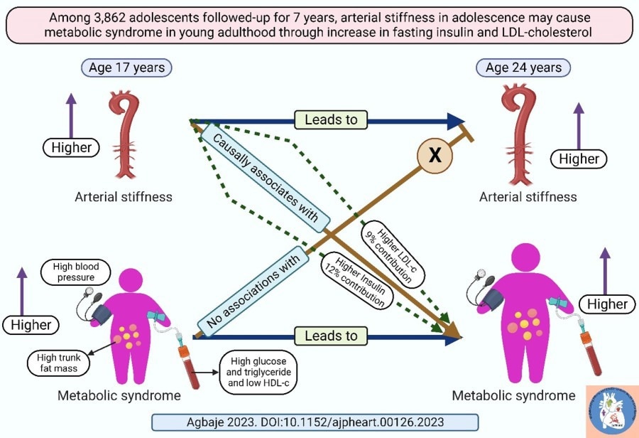 Arterial stiffness may be a novel risk factor for childhood and adolescent metabolic disease