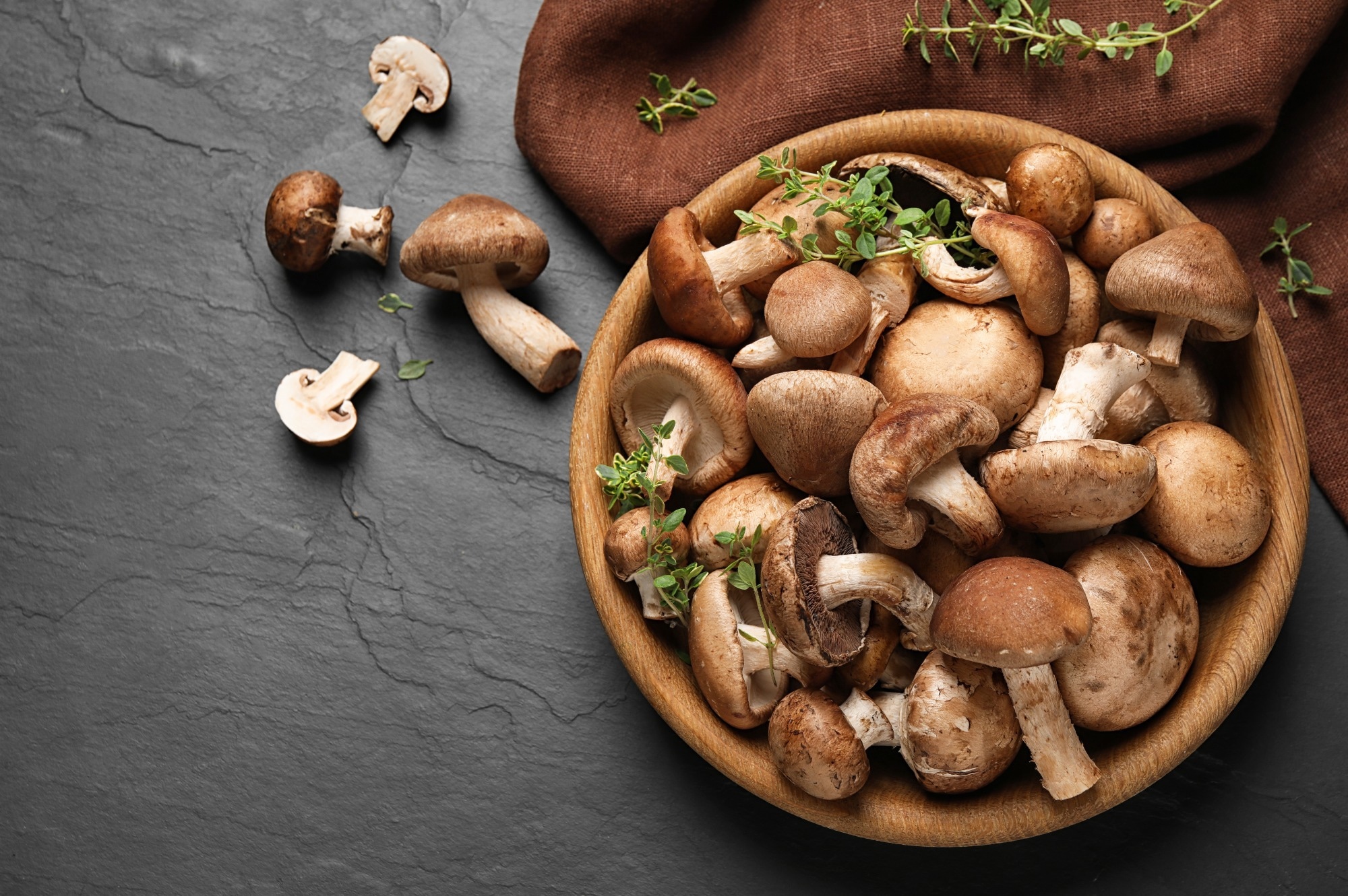 Study: Edible mushrooms as potential functional foods in amelioration of hypertension. Image Credit: New Africa / Shutterstock.com