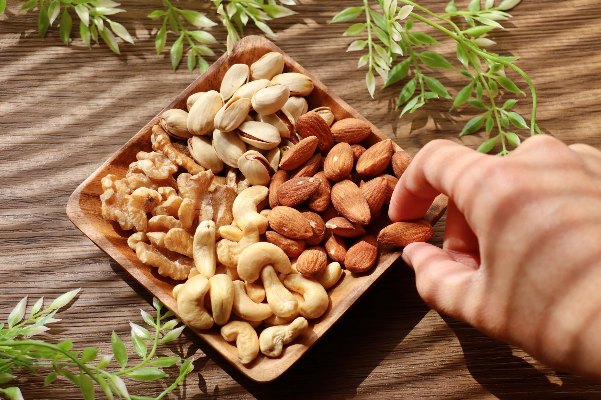 Study: Longer-term mixed nut consumption improves brain vascular function and memory: a randomized, controlled crossover trial in older adults. Image Credit: umaruchan4678 / Shutterstock.com