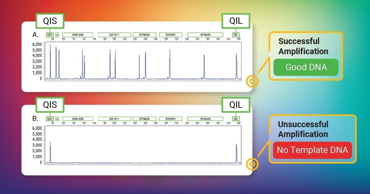Spectrum CE System: A capillary electrophoresis instrument built for the forensic laboratory workflow