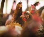 The battle against avian influenza: genetic analysis unveils the origins of H5N1 outbreak