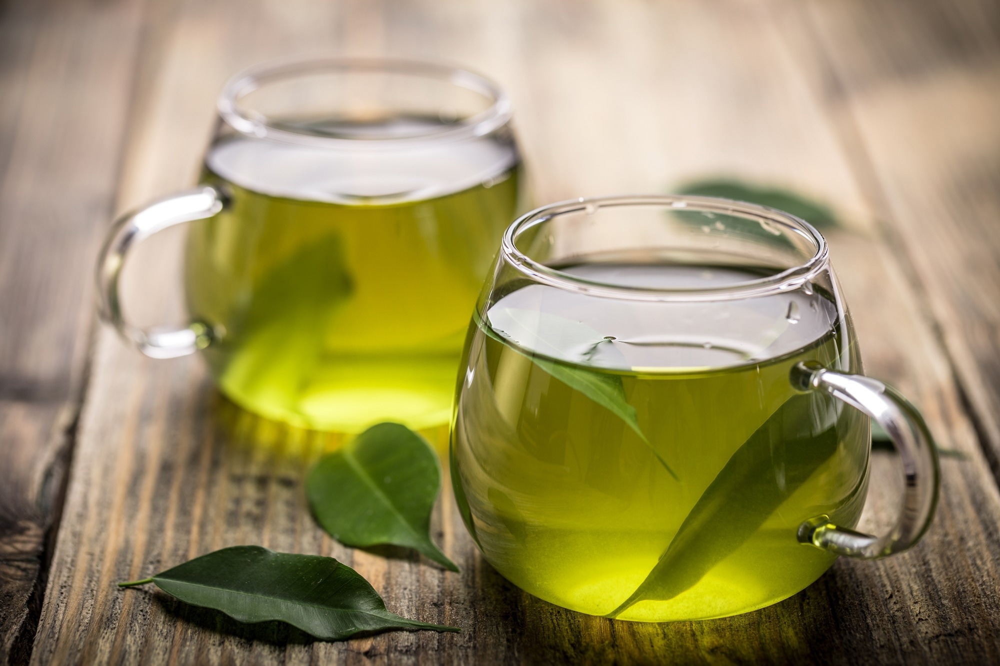 Study: The Role of Green Tea on the Regulation of Gut Microbes and Prevention of High-Fat Diet-Induced Metabolic Syndrome in Mice. Image Credit: grafvision/Shutterstock.com
