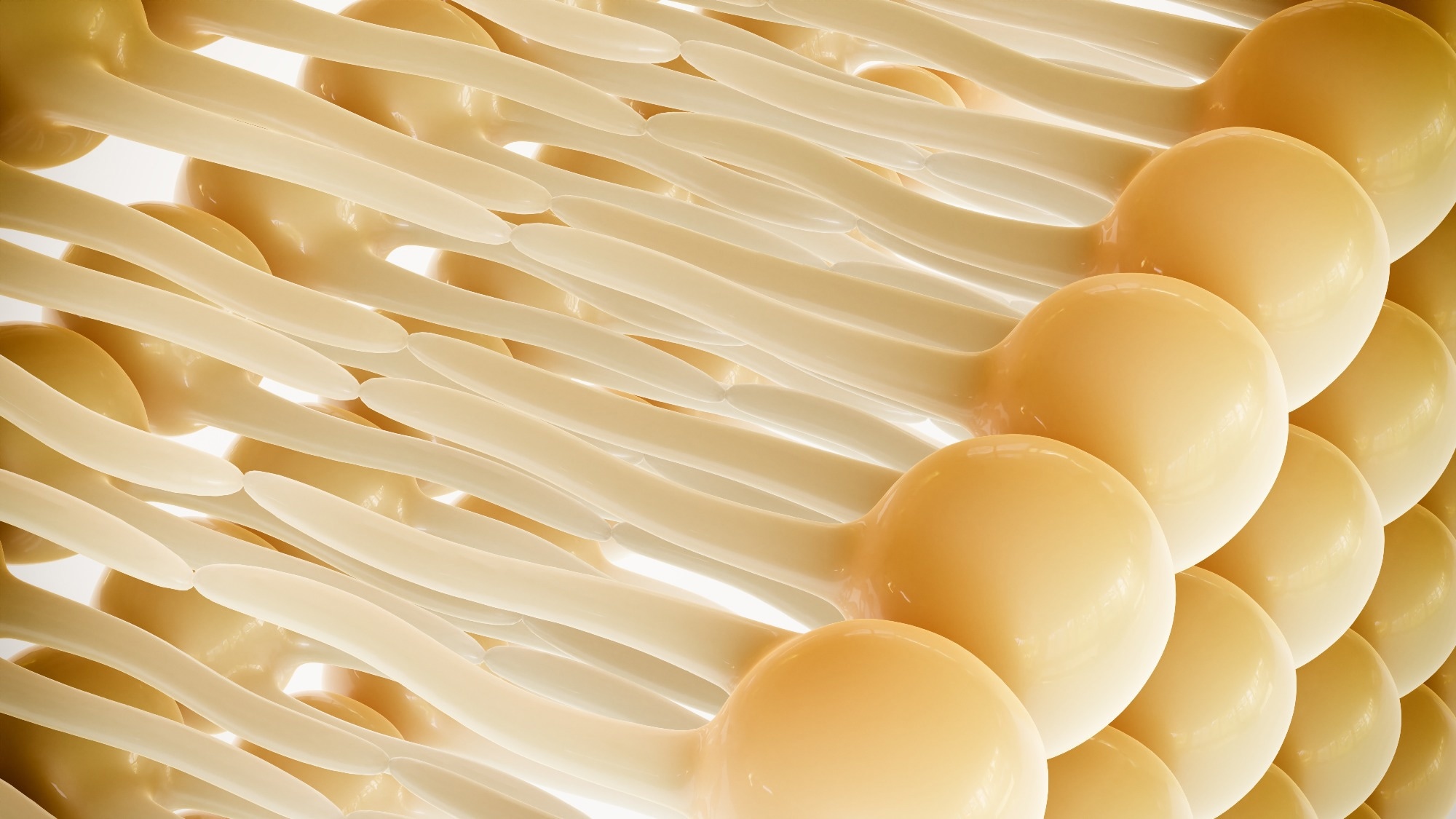 Study: CD1 lipidomes reveal lipid-binding motifs and size-based antigen-display mechanisms. Image Credit: Crevis / Shutterstock.com